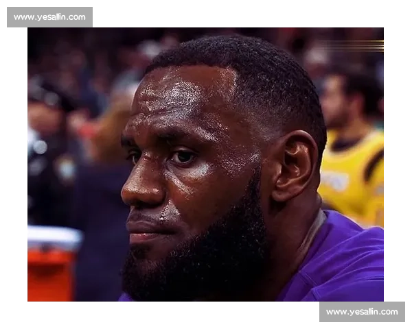 热火老板名人堂调侃詹姆斯:那句 “七冠” 承诺,终究停在两冠 热火老板名人堂调侃詹姆斯:那句 “七冠” 承诺,终究停在两冠